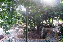 Thomaschettan's Farm Stay - Ernakulam-Farm Tourism