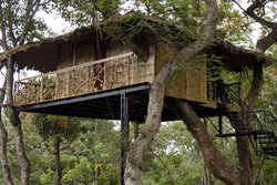 Tranquil Resort - Wayanad-Farm Tourism