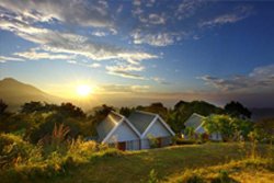 Ambady Estate - Munnar-Farm Tourism