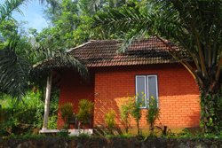 Chaliyar Palm Ghat Resort -  Malappuram - Farm Tourism