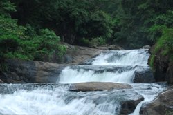 Chaliyar Palm Ghat Resort -  Malappuram-Farm Tourism