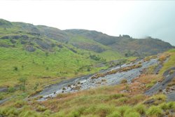 Chaliyar Palm Ghat Resort -  Malappuram-Farm Tourism