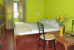 Harithavanam Farm House - Thekkady-Farm Tourism