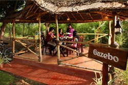 Harvest Fresh Farm - Thekkady-Farm Tourism