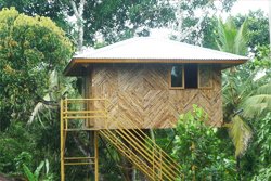 Kallat Heritage - Wayanad-Farm Tourism