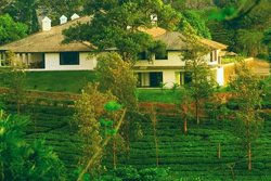 Parisons Plantation Experiences - wayanad